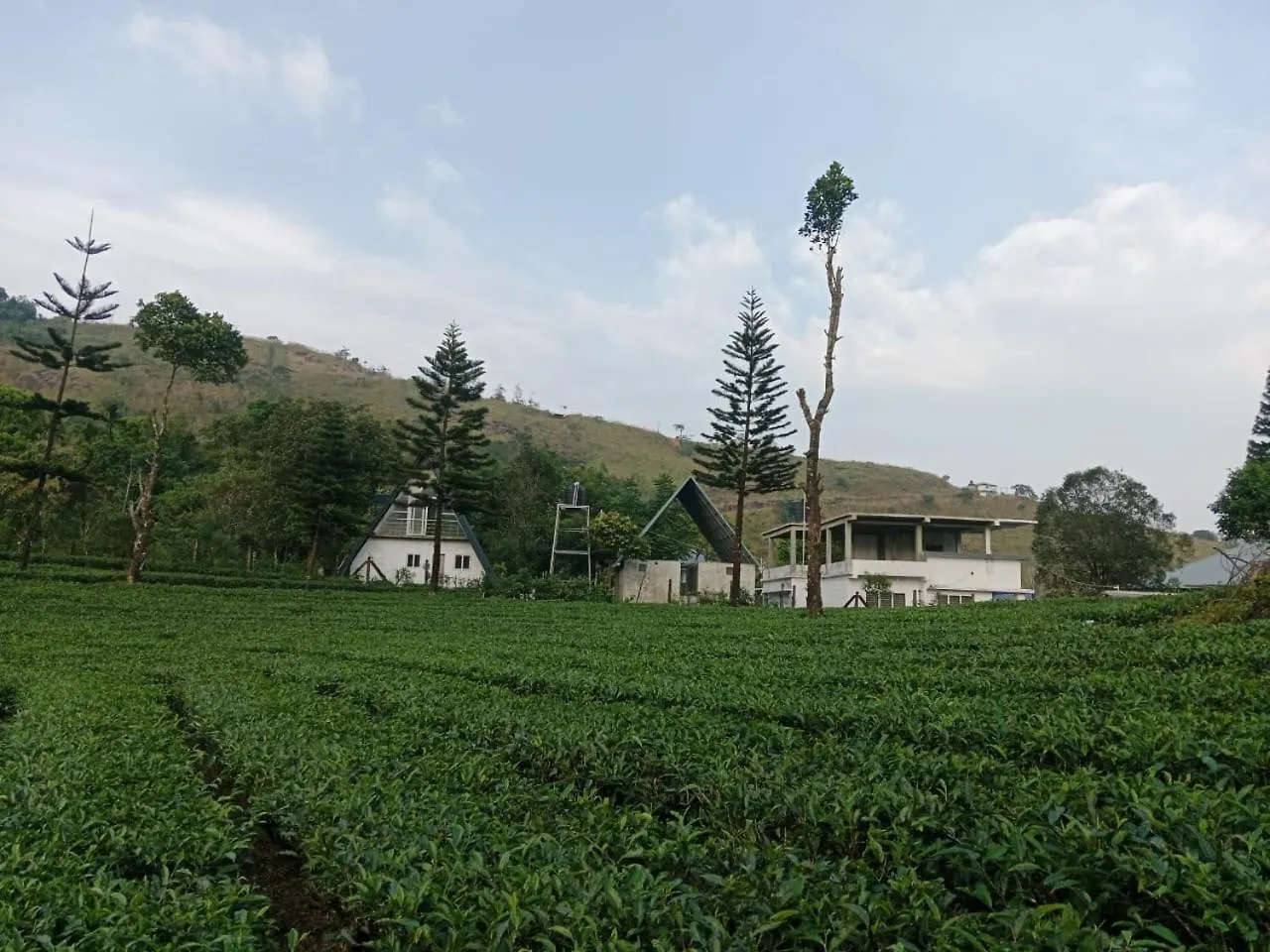 바가몬 Pine Trees Gold 빌라 0*,